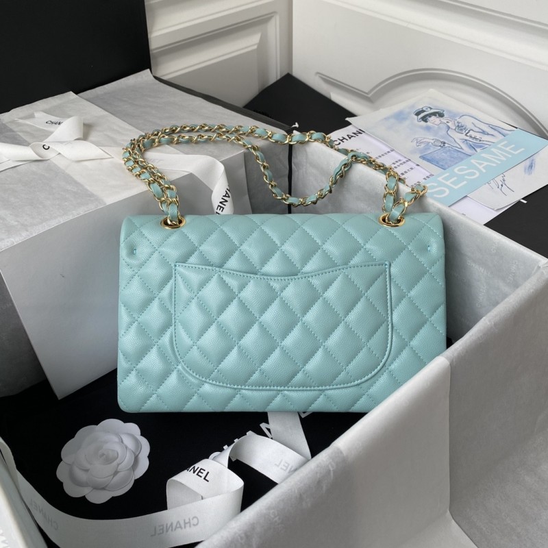Ch*el Classic Flap Bag A01113, Top Quality, Medium Size: 23cm